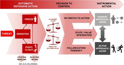 Approach-Avoidance Decisions Under Threat: The Role of Autonomic Psychophysiological States